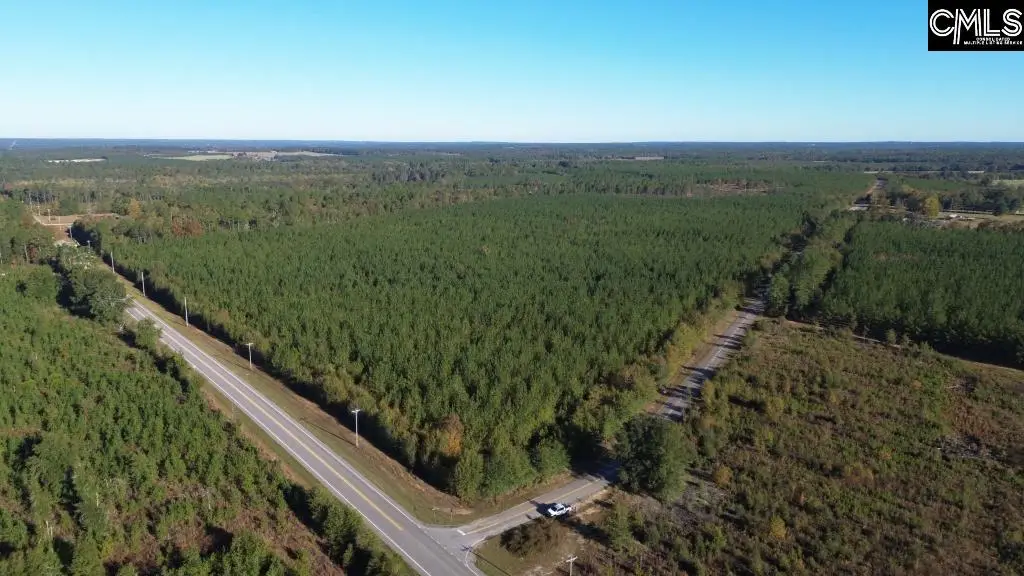 Fairview Road, Leesville, SC 29070 - #1