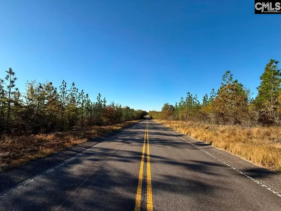 Fairview Road, Leesville, SC 29070 - #2