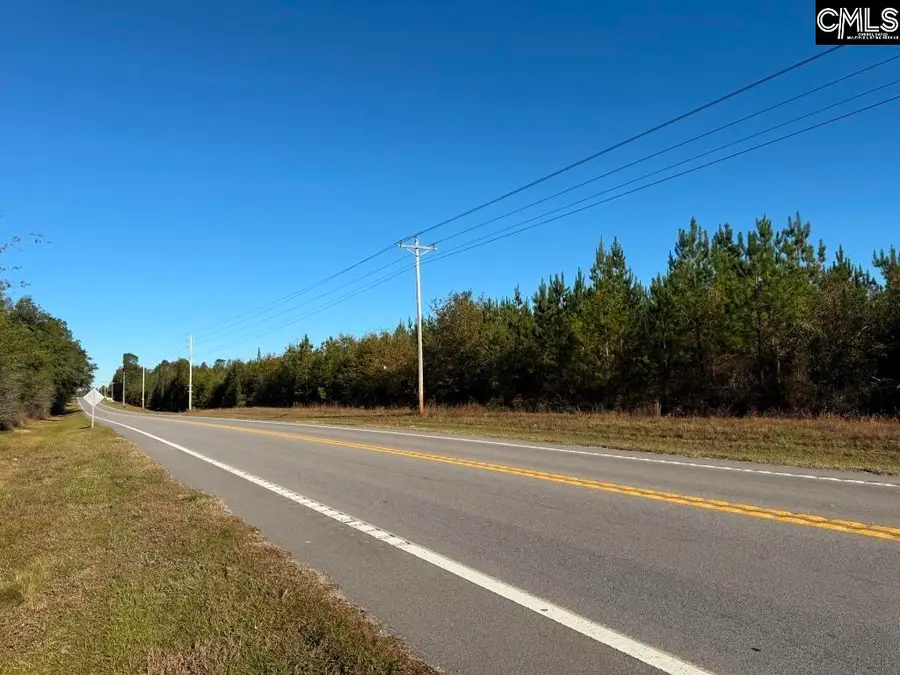 Fairview Road, Leesville, SC 29070 - #3