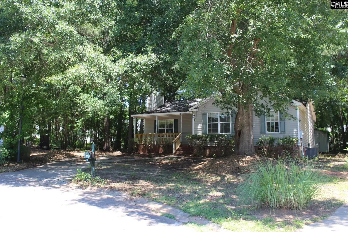 14 Holliston Court, Chapin, SC 29036 - #1