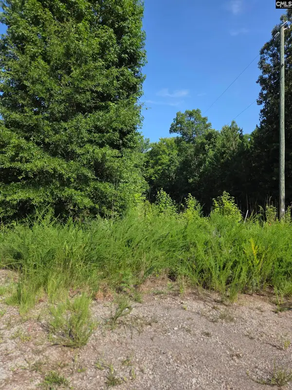 Longleaf Court Lot 7, Ridgeway, SC 29130