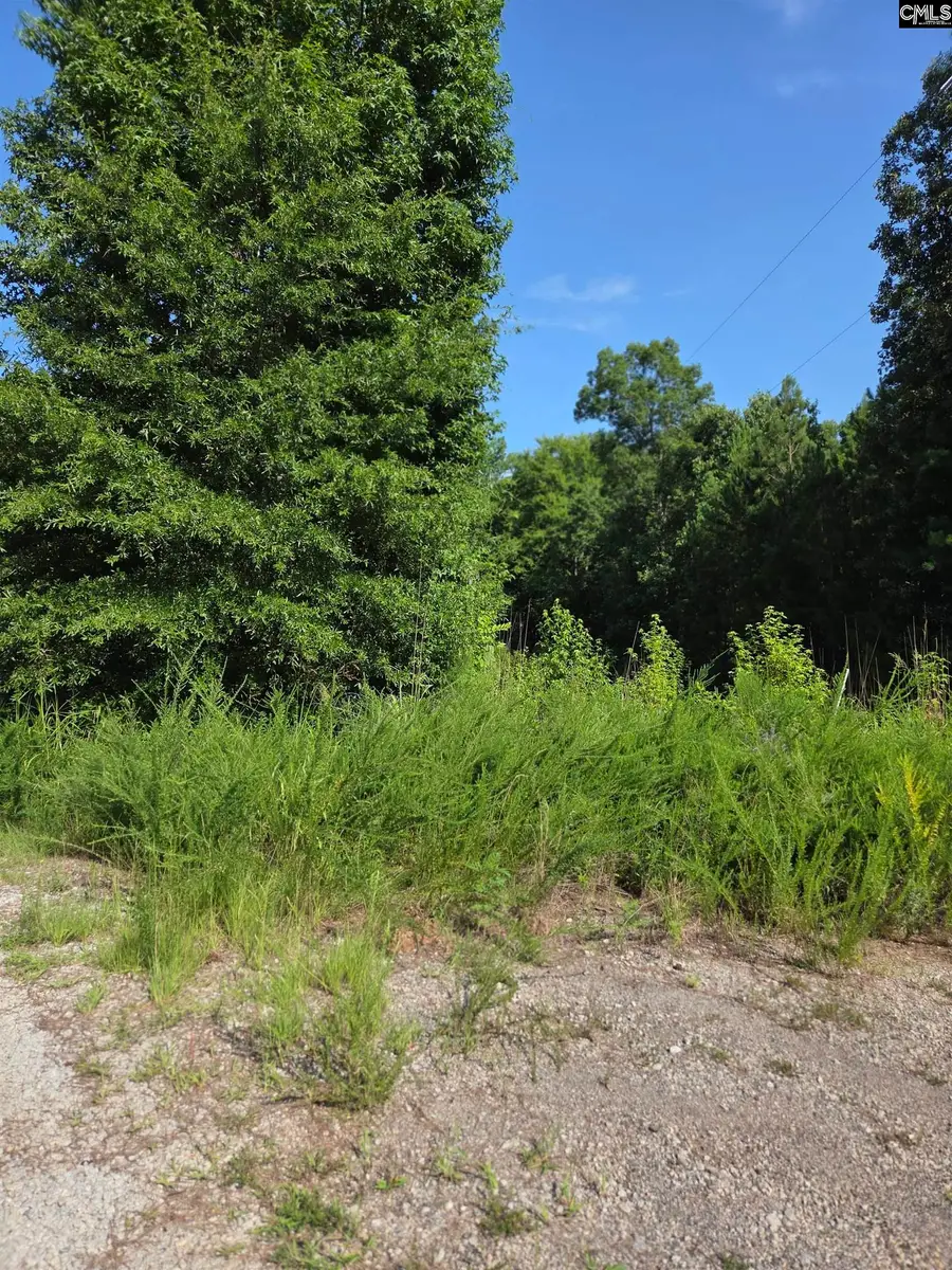 Longleaf Court Lot 7, Ridgeway, SC 29130 - #2