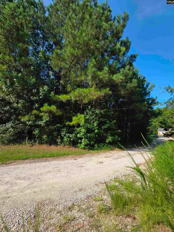 135 Longleaf Court Lot 4, Ridgeway, SC 29130