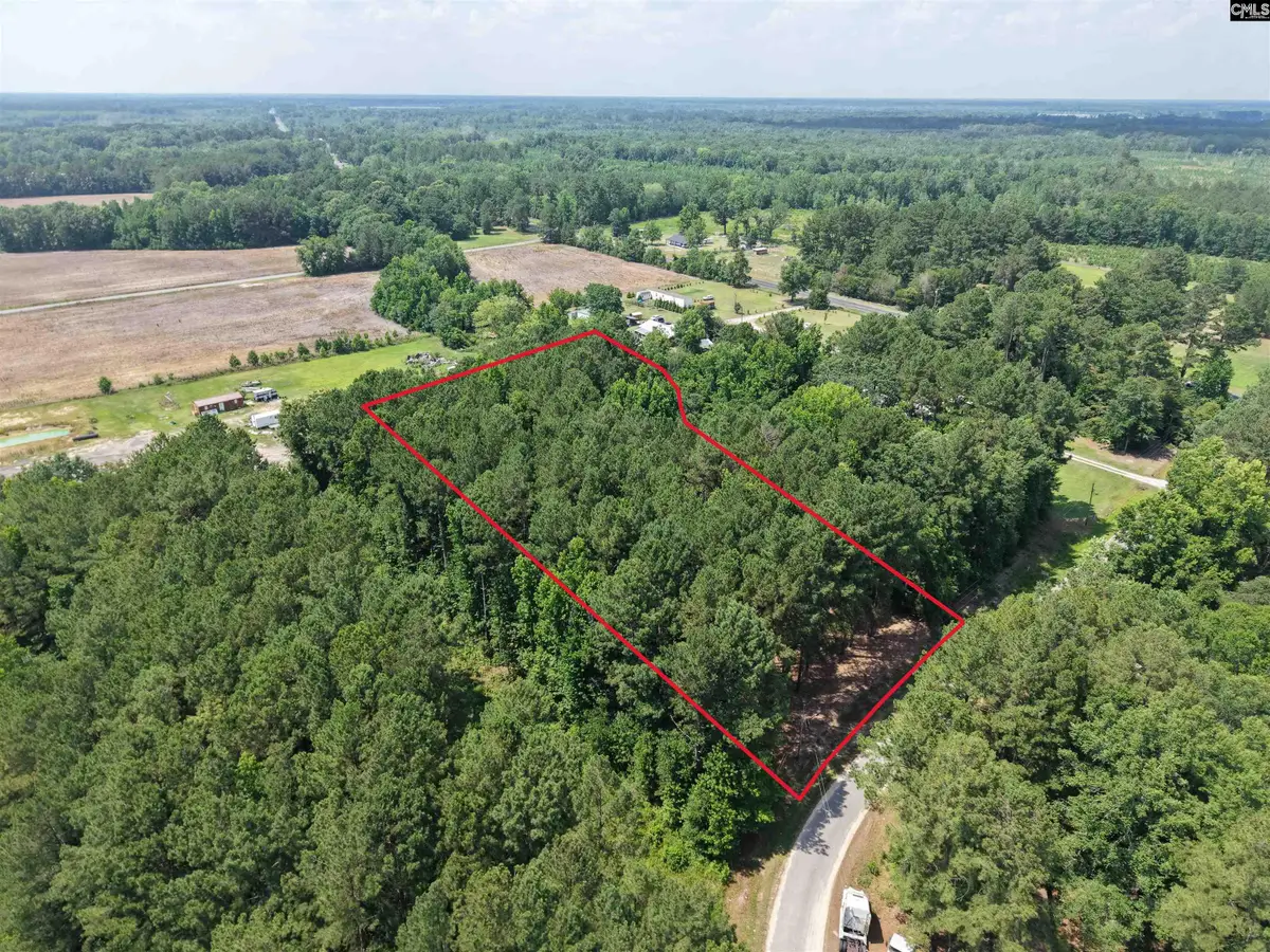 0 Peace Lane, Bowman, SC 29018 - #1