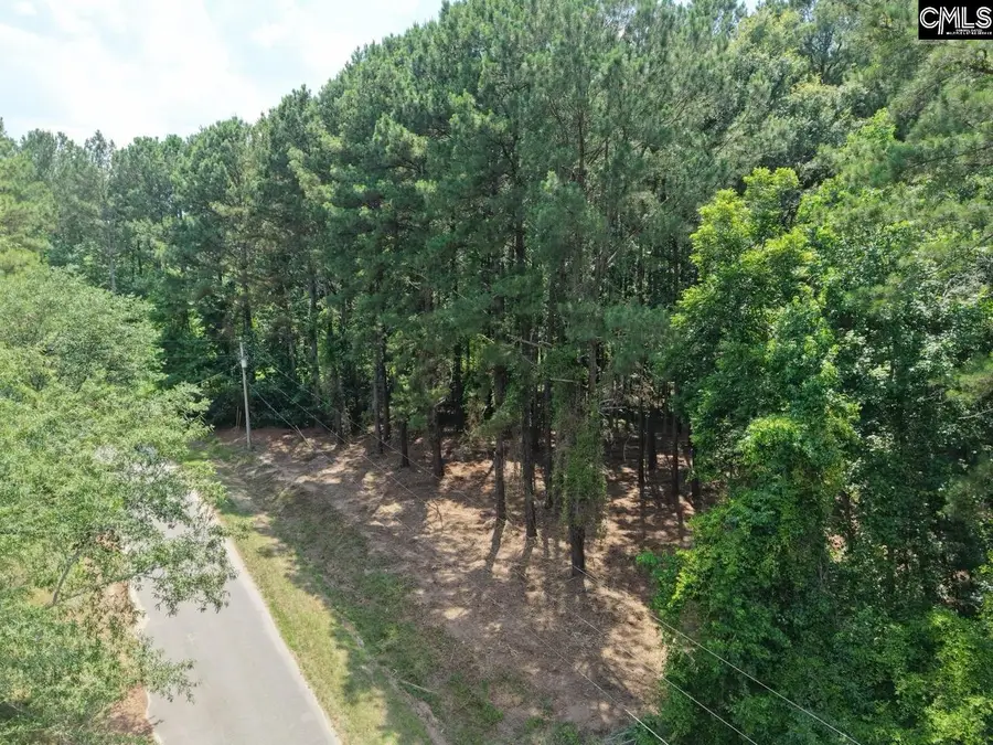 0 Peace Lane, Bowman, SC 29018 - #3