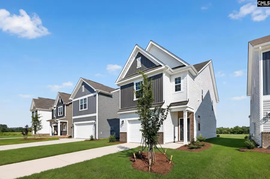 782 Ben Gunn Run, Gilbert, SC 29054 - #2