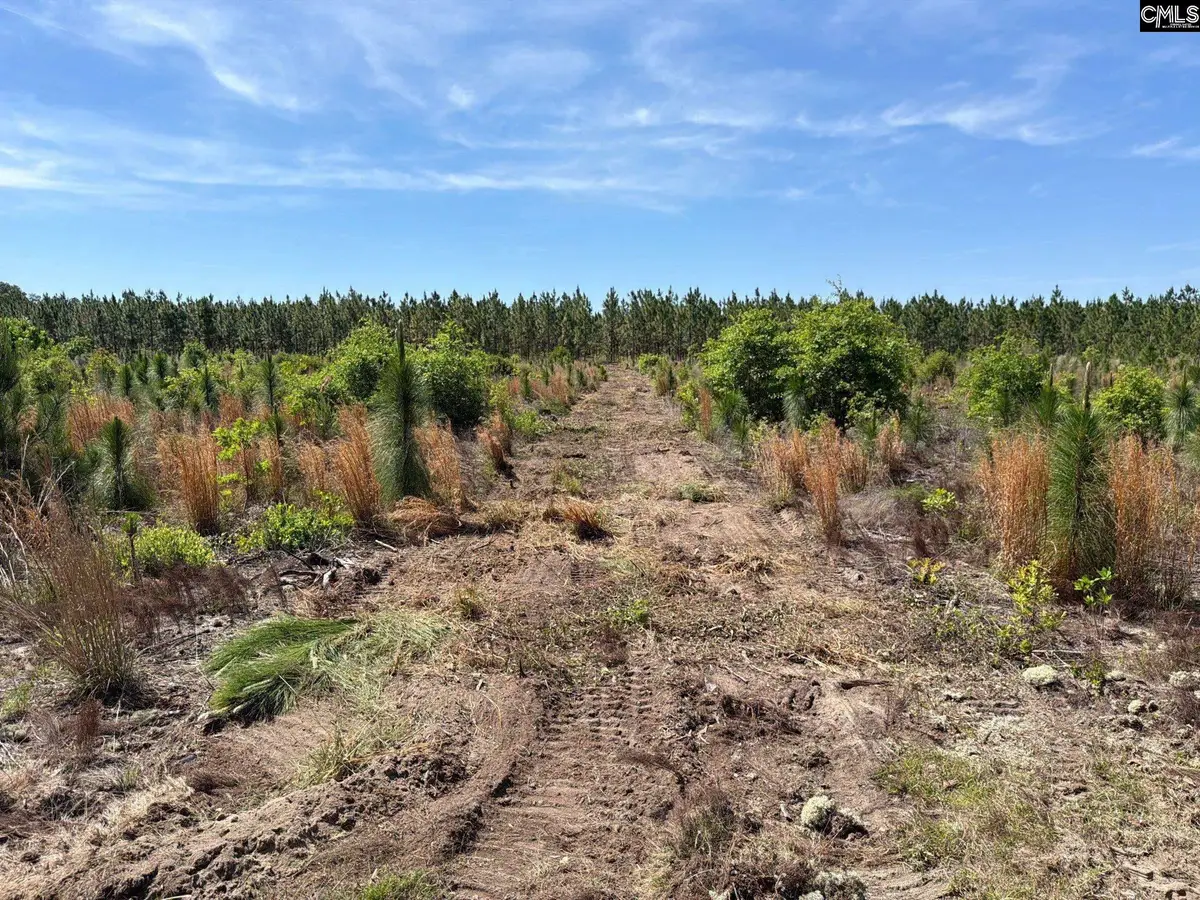 HRF 5 Holstein Road, Wagener, SC 29164 - #1