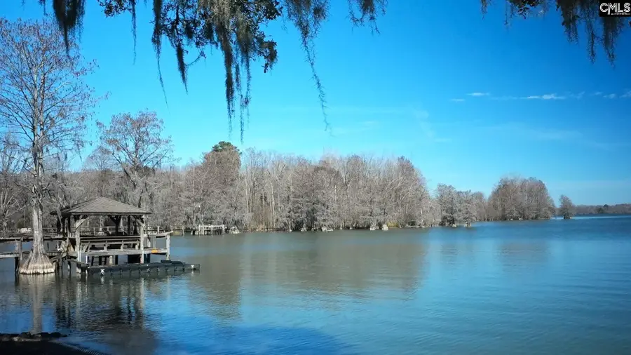 1036 Mulligan Drive, Manning, SC 29102 - #2