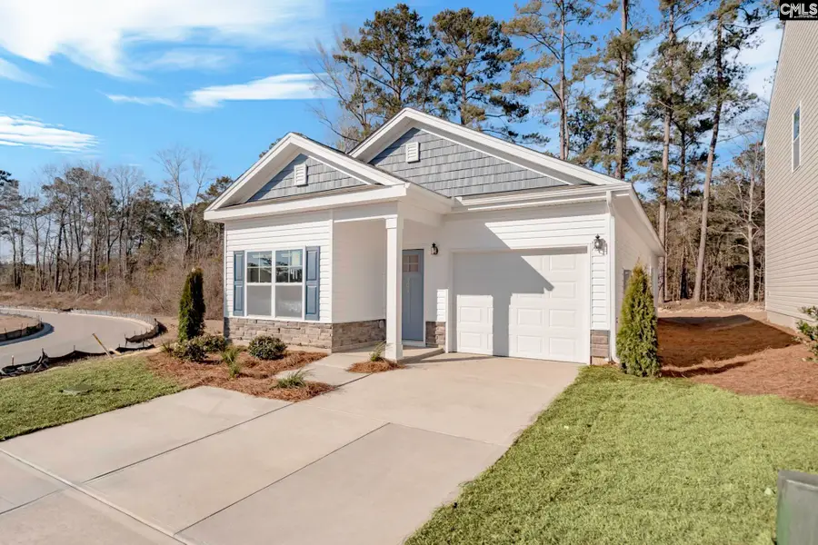 304 Pinaster Path, West Columbia, SC 29170 - #2