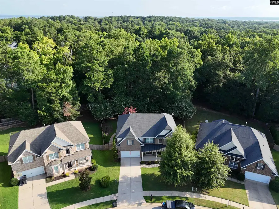 358 Bronze Drive, Lexington, SC 29072 - #2