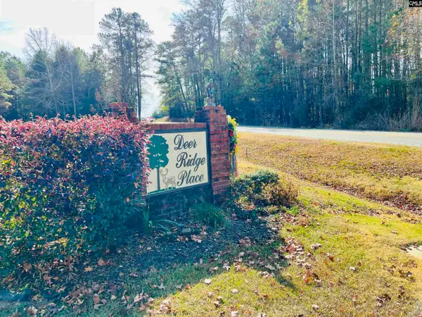 127 Deer Ridge Drive, Gilbert, SC 29054