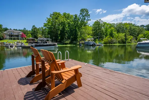 123 Waxhaws Trace, Chapin, SC 29036