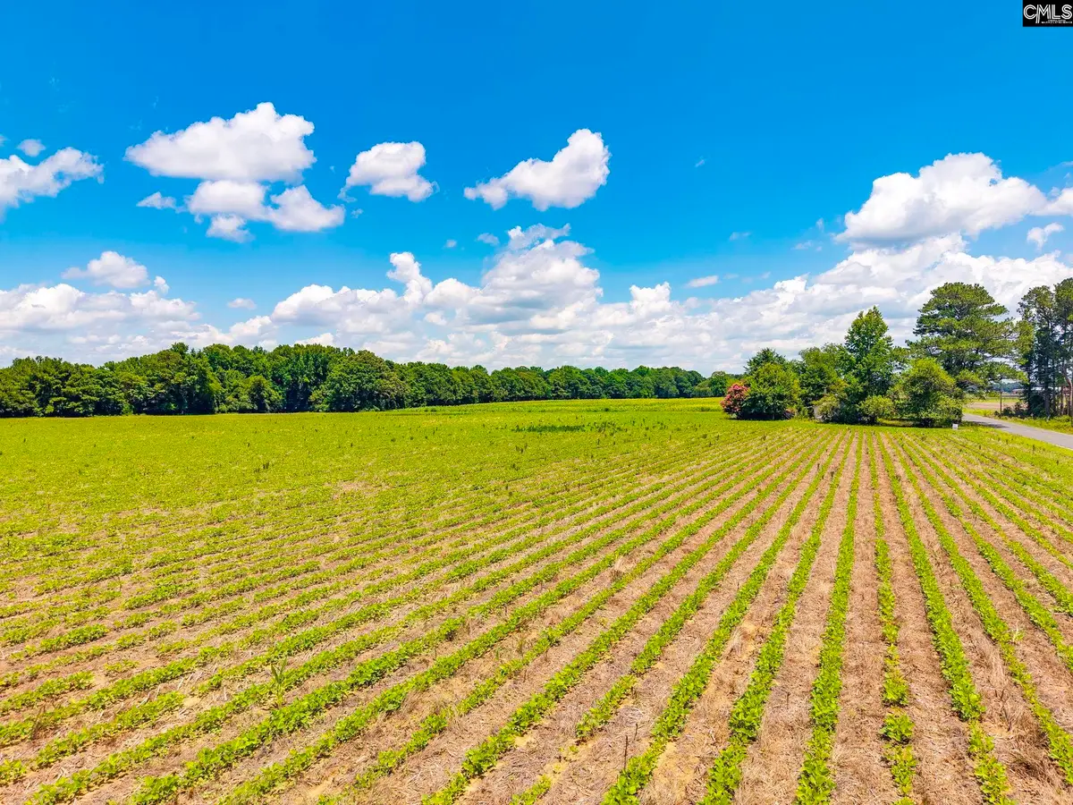 420 Windhamtown Road, Lamar, SC 29069 - #1
