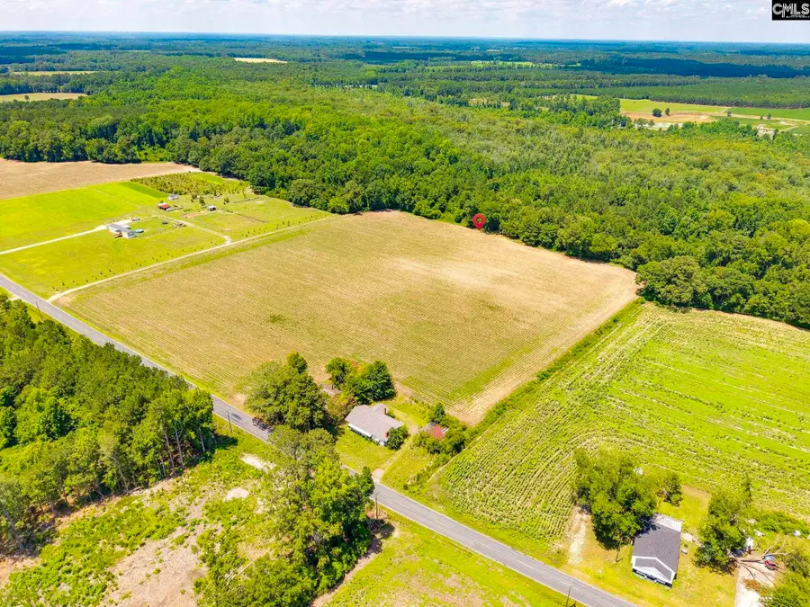 420 Windhamtown Road, Lamar, SC 29069 - #2
