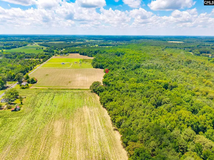 420 Windhamtown Road, Lamar, SC 29069 - #3
