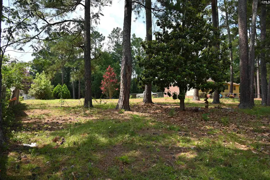 1104 Flamingo Drive, Columbia, SC 29203 - #2