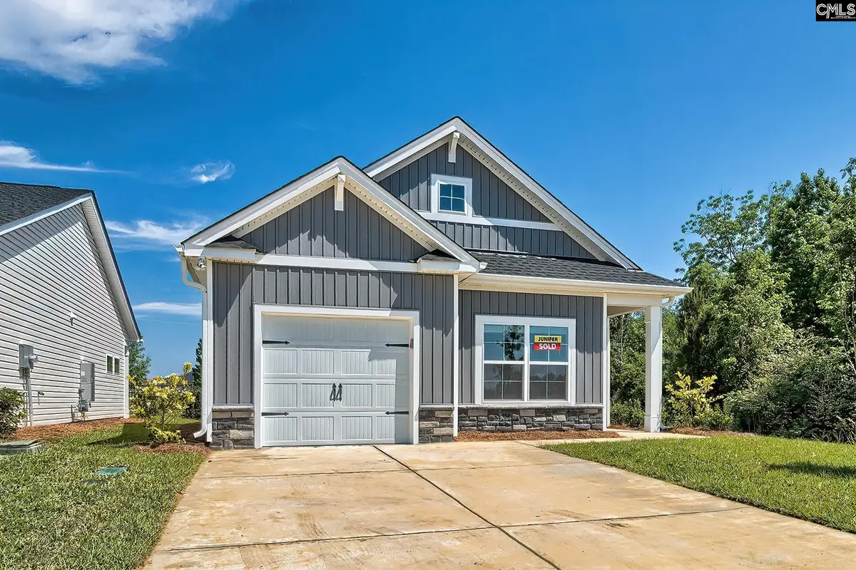 207 Calm Citadel Drive, Pelion, SC 29123 - #1