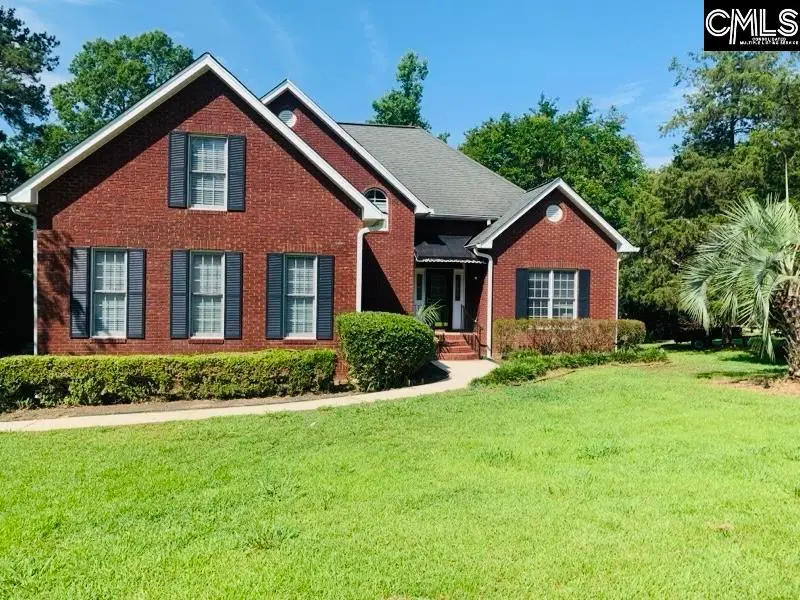 417 Highwater Court, Chapin, SC 29036 - #1