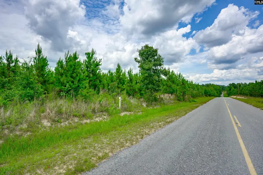 00 Catalina Boulevard, Swansea, SC 29160 - #3