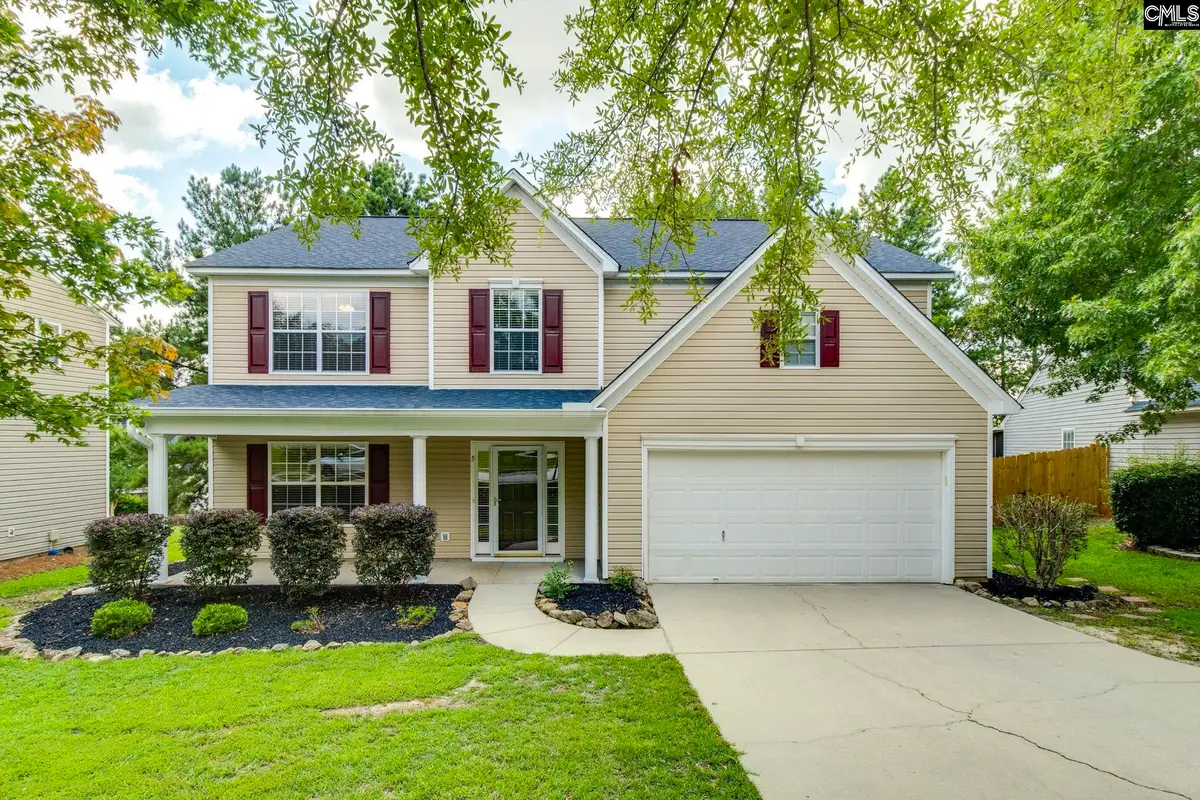 5 Redbrush Court, Chapin, SC 29036 - #1