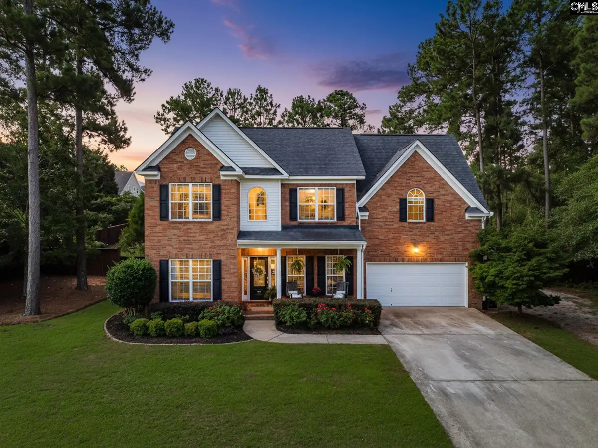 217 Churchview Loop, Lexington, SC 29073 - #1