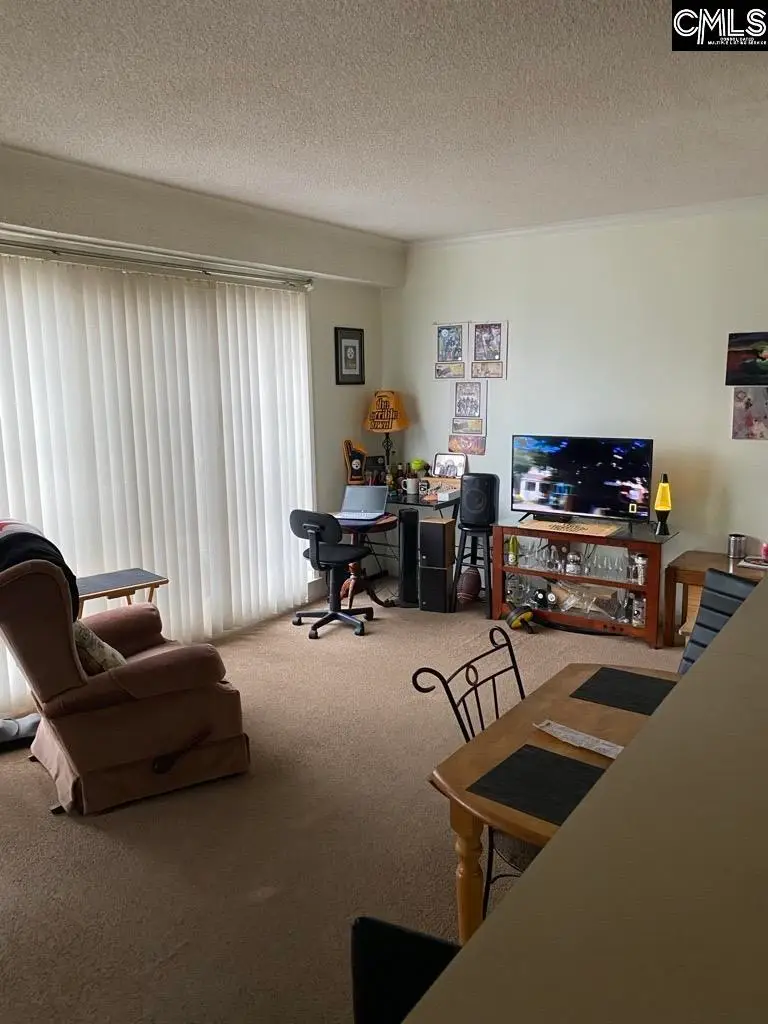 2009 Greene Street #301, Columbia, SC 29205 - #3