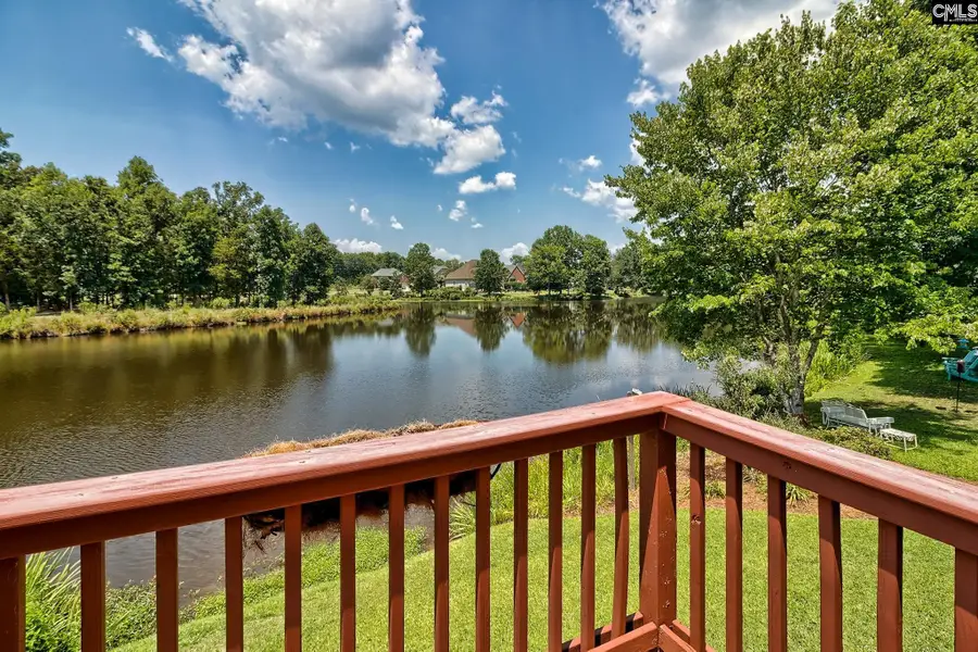 119 Lake Hilton Drive, Chapin, SC 29036 - #3