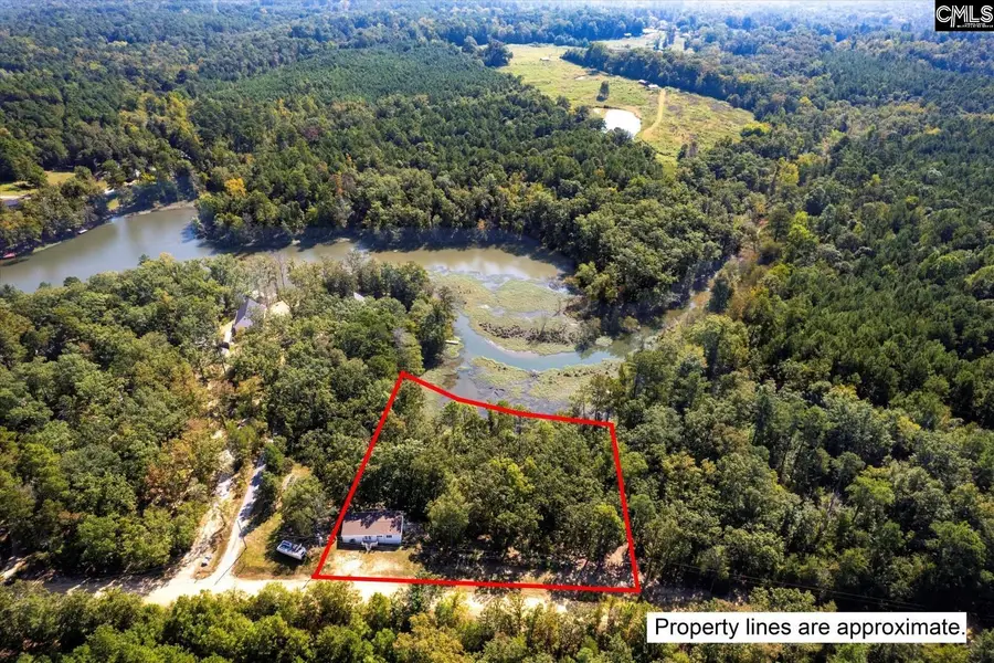 573 Canasta Drive, Gilbert, SC 29054 - #2
