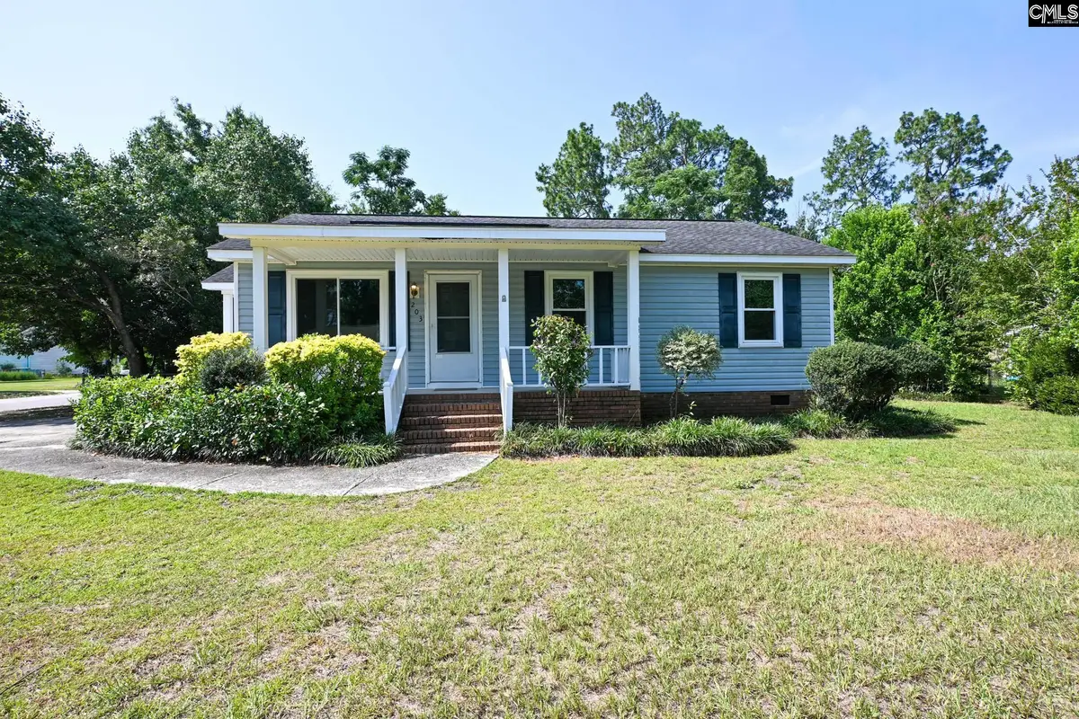 203 Condor Route, Lexington, SC 29073 - #1