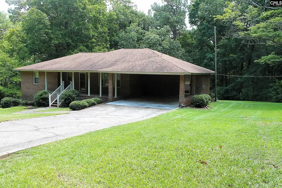 155 Pinewood Drive, Chapin, SC 29036 - #2