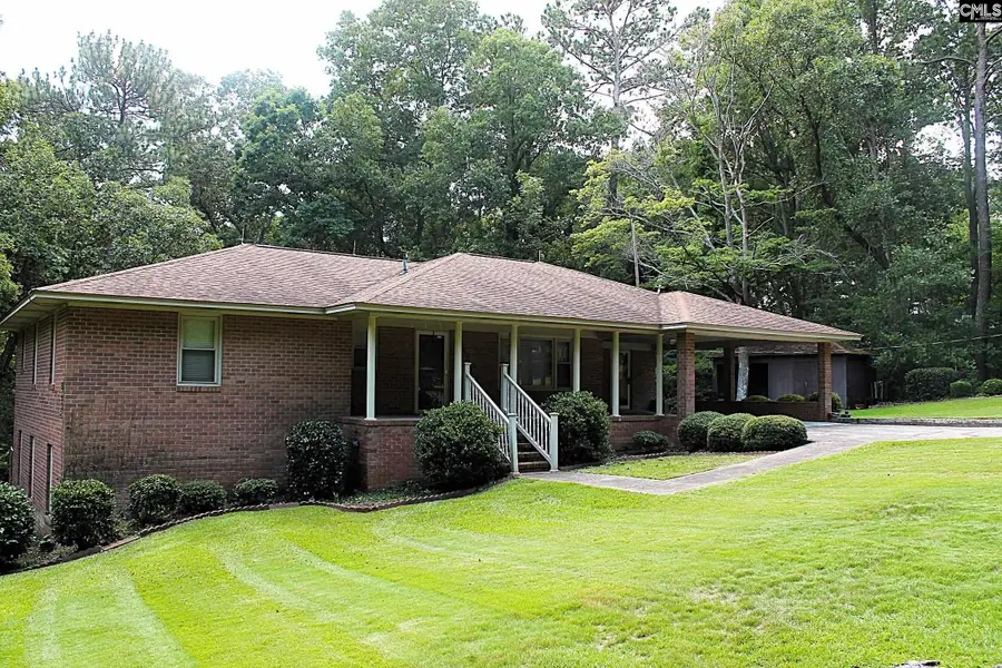 155 Pinewood Drive, Chapin, SC 29036 - #3