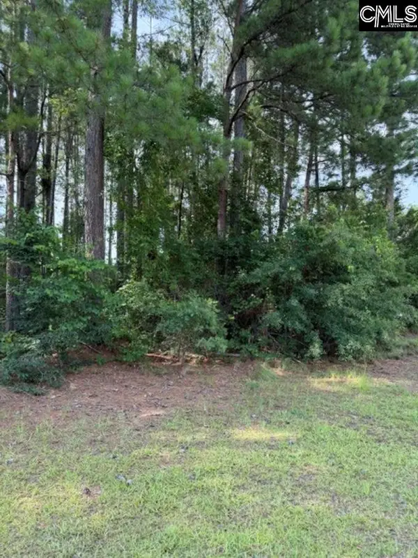 2140 Watersong Run, Sumter, SC 29150