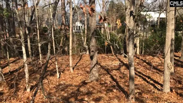326 Carola Lane, Lexington, SC 29072