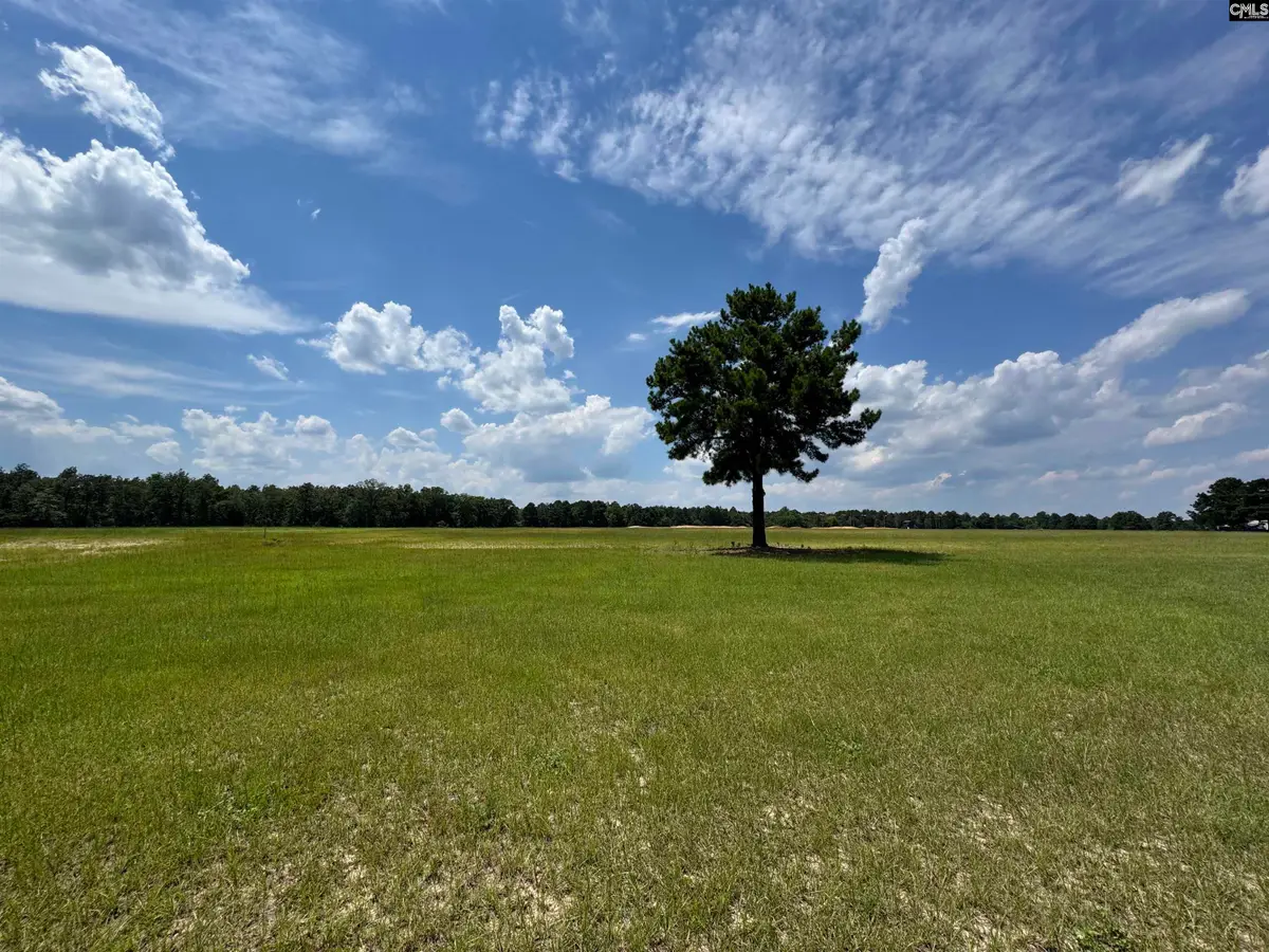 1465 6 Highway, Gaston, SC 29053 - #1