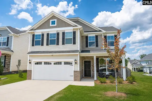 510 Palmerston Way, Chapin, SC 29036