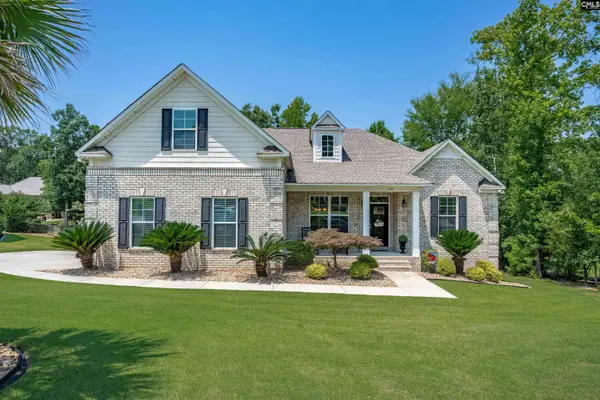 238 Hilton View Court, Chapin, SC 29036