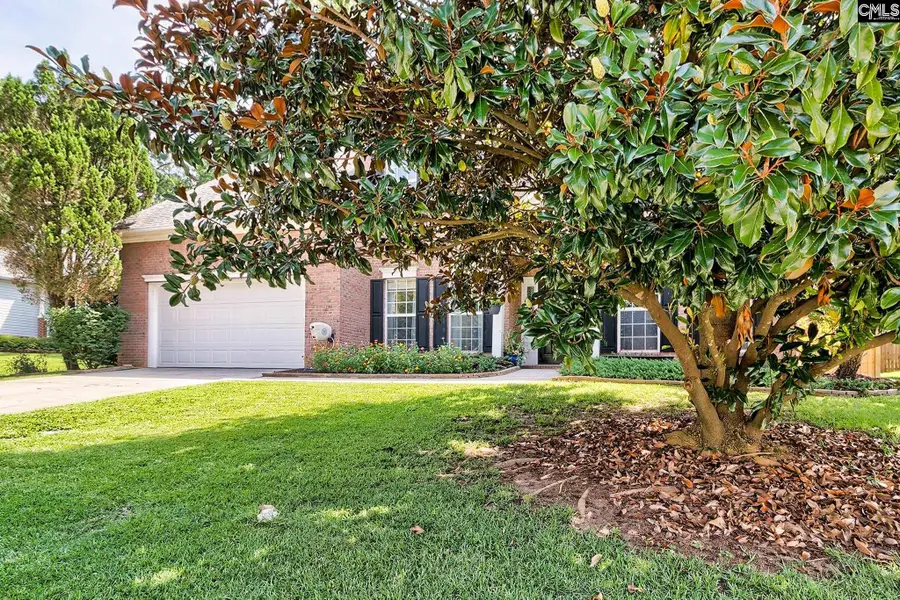239 Winterberry Loop, Lexington, SC 29072 - #3