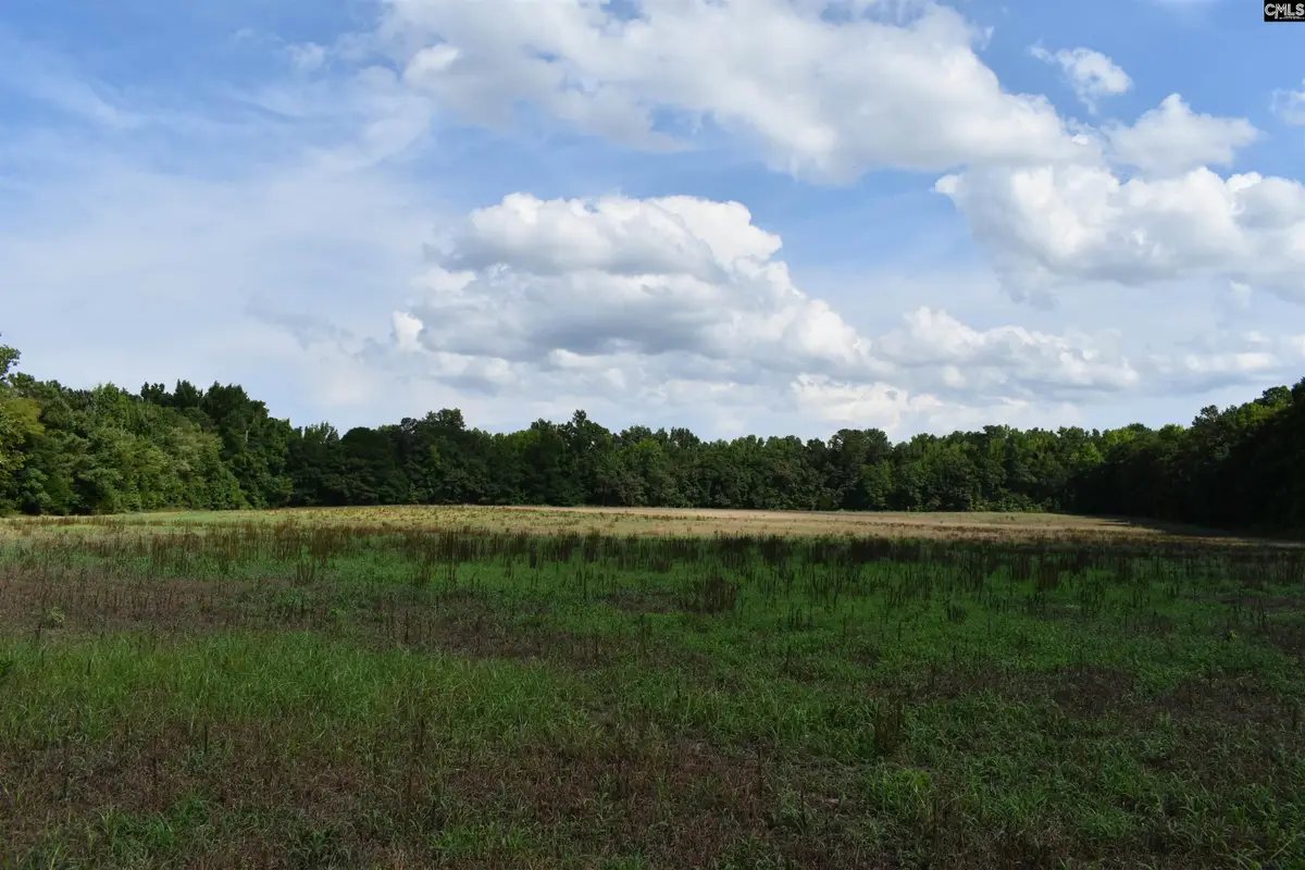 00 Riley Road, Saint Matthews, SC 29135 - #1
