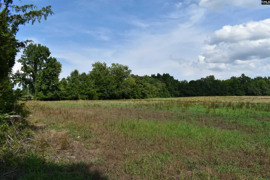 00 Riley Road, Saint Matthews, SC 29135 - #2