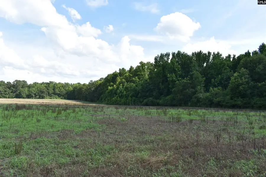 00 Riley Road, Saint Matthews, SC 29135 - #3