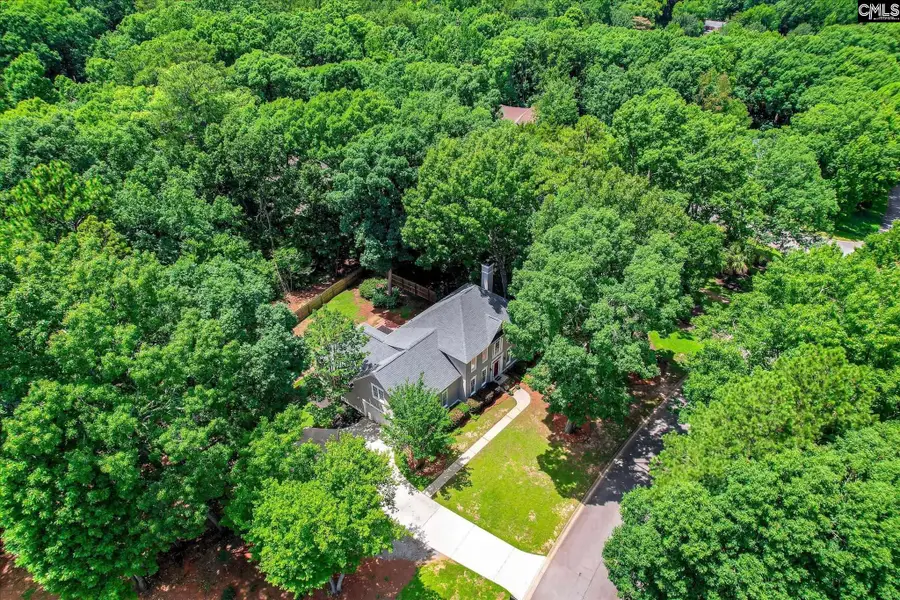 208 Misty Oaks Court, Lexington, SC 29072 - #3