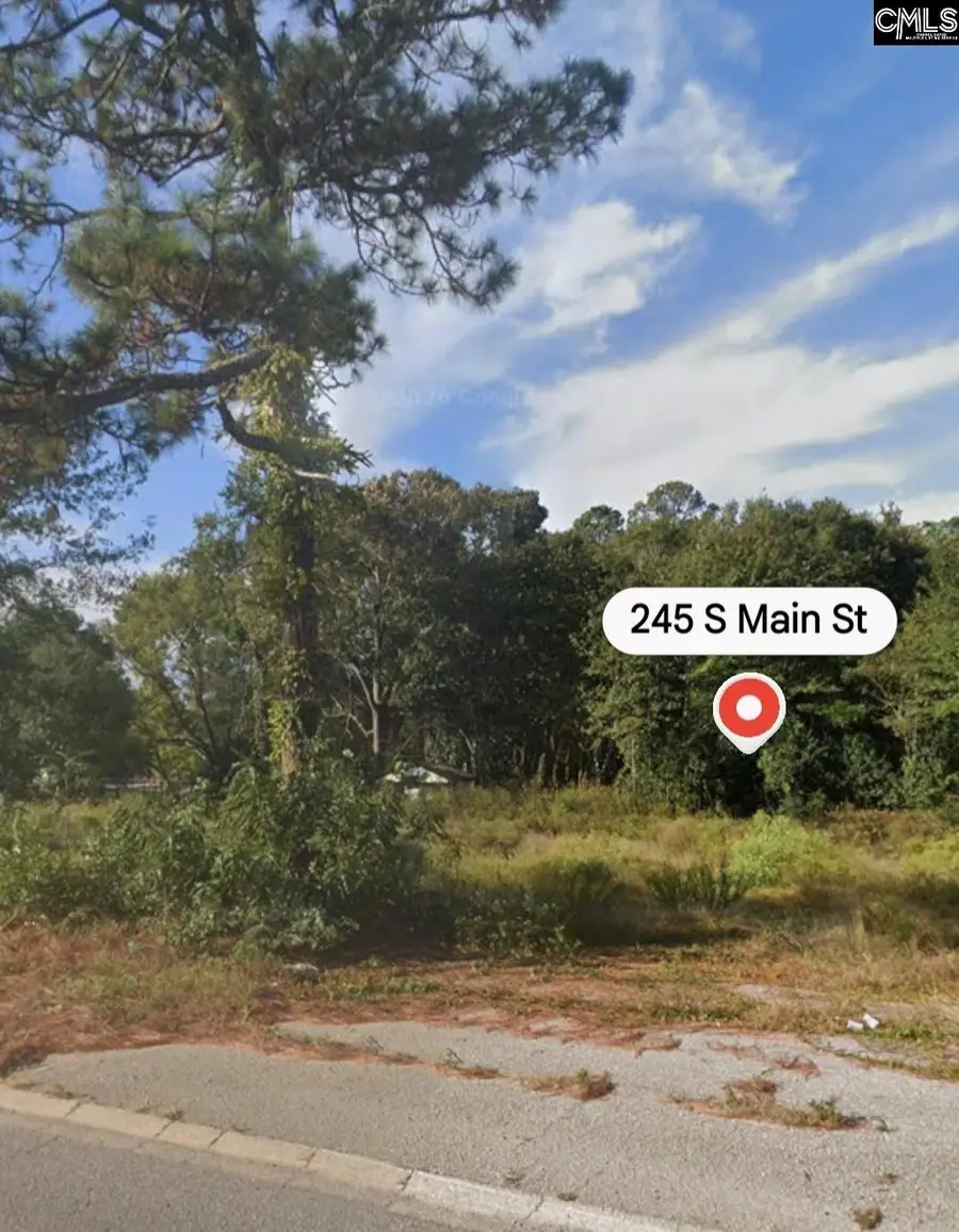 245 South Main Street, Gaston, SC 29053 - #2