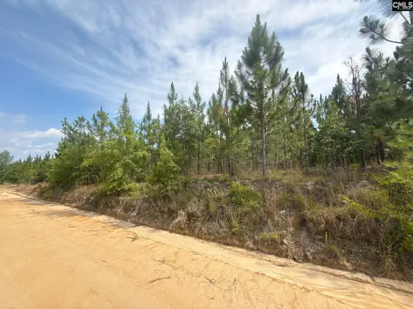 MPF 1 State Rd S-28-31 Road, Jefferson, SC 29718