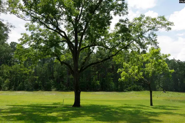 2249 Pepper Road, Lexington, SC 29073