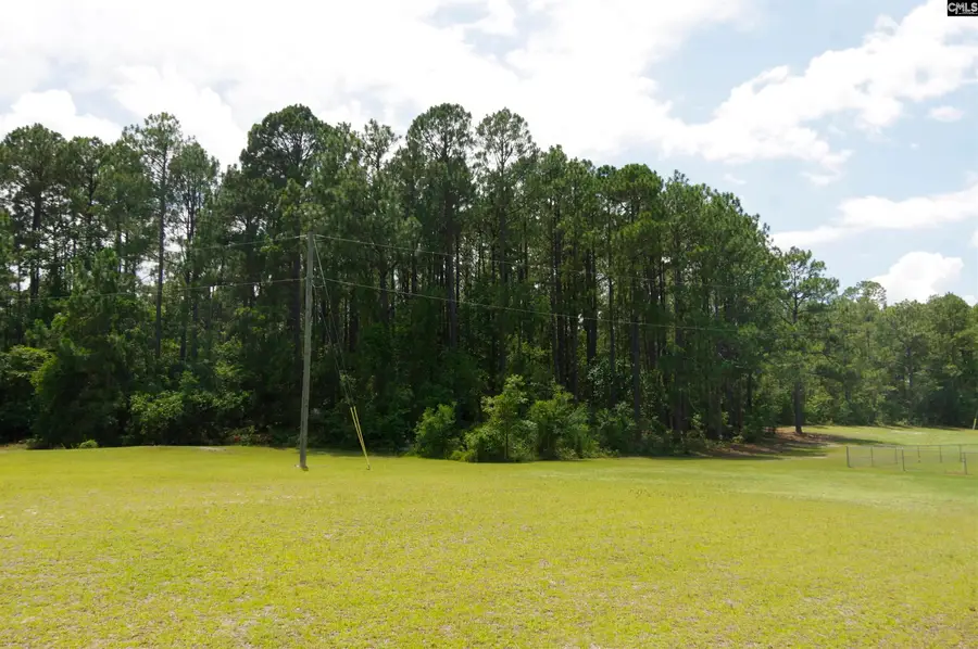2249 Pepper Road, Lexington, SC 29073 - #3