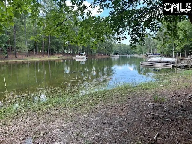 110 John Long Road, Gilbert, SC 29054 - #1