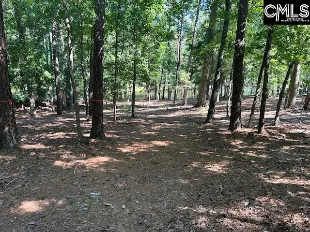 110 John Long Road, Gilbert, SC 29054 - #2
