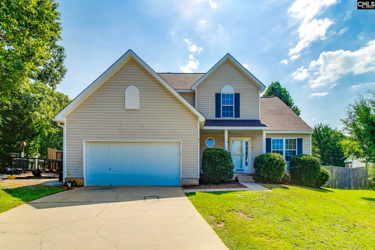 316 Turkey Beard Court, Chapin, SC 29036 - #1