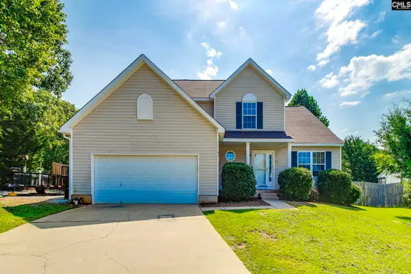 316 Turkey Beard Court, Chapin, SC 29036