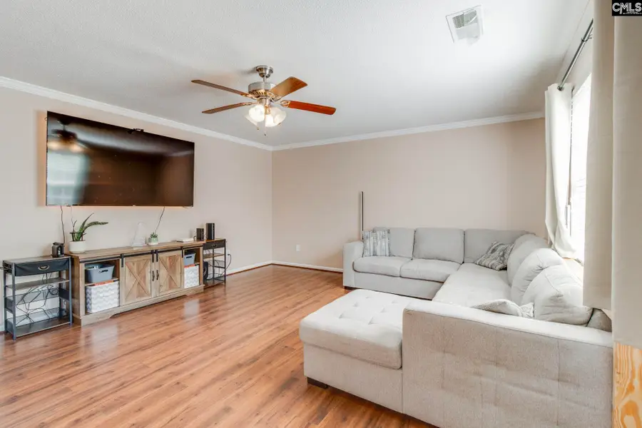 316 Turkey Beard Court, Chapin, SC 29036 - #3